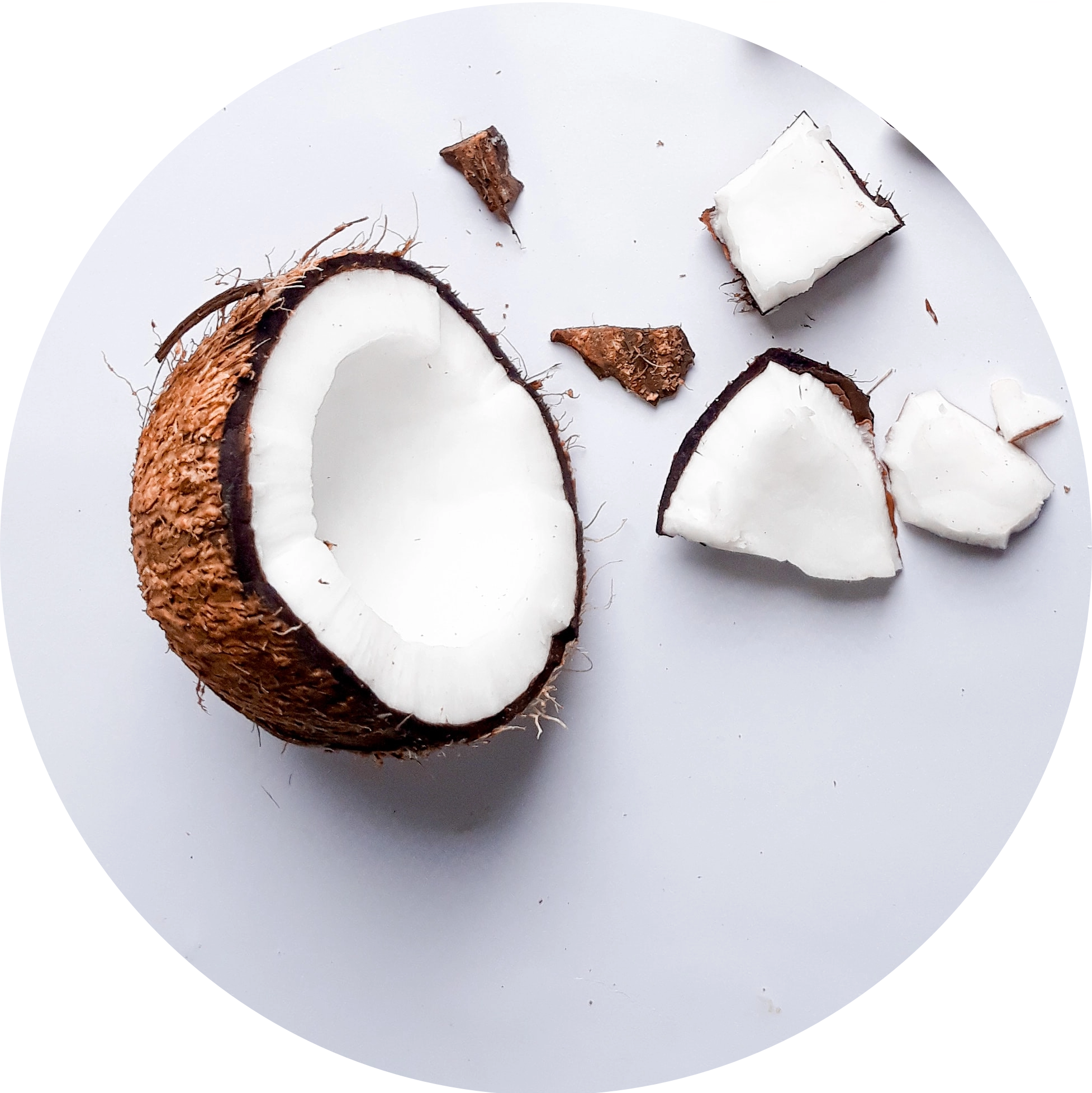 Coconut Extract in AGC Skincare