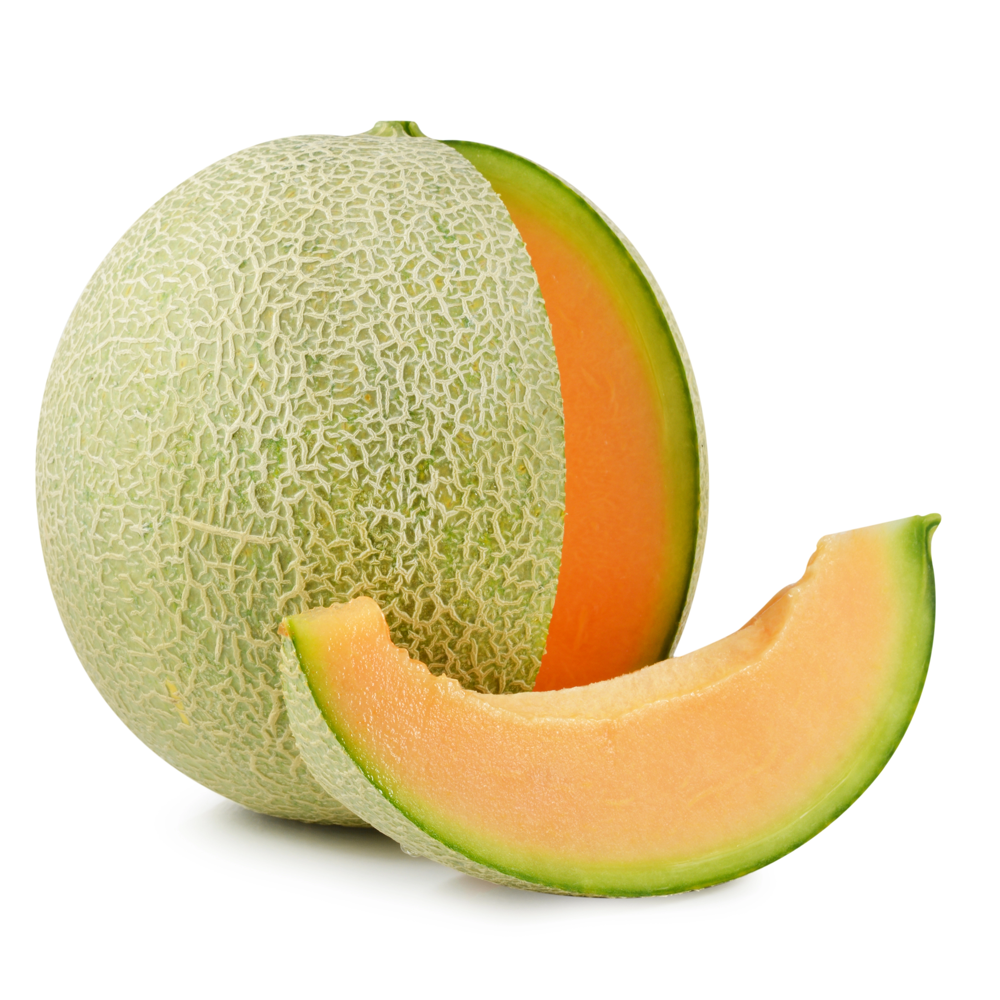 Melon Extract in AGC Skincare