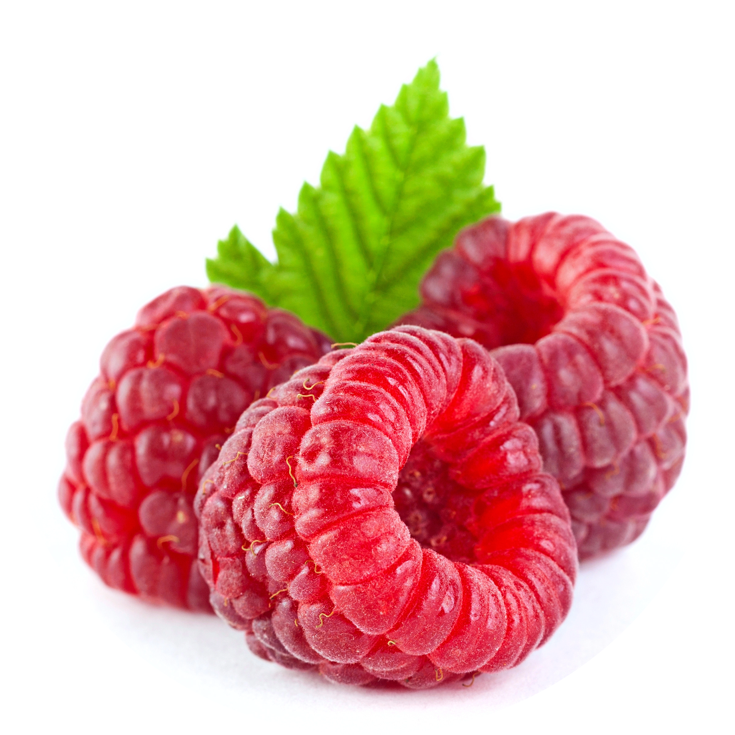Raspberry Seed Oil in AGC Skincare