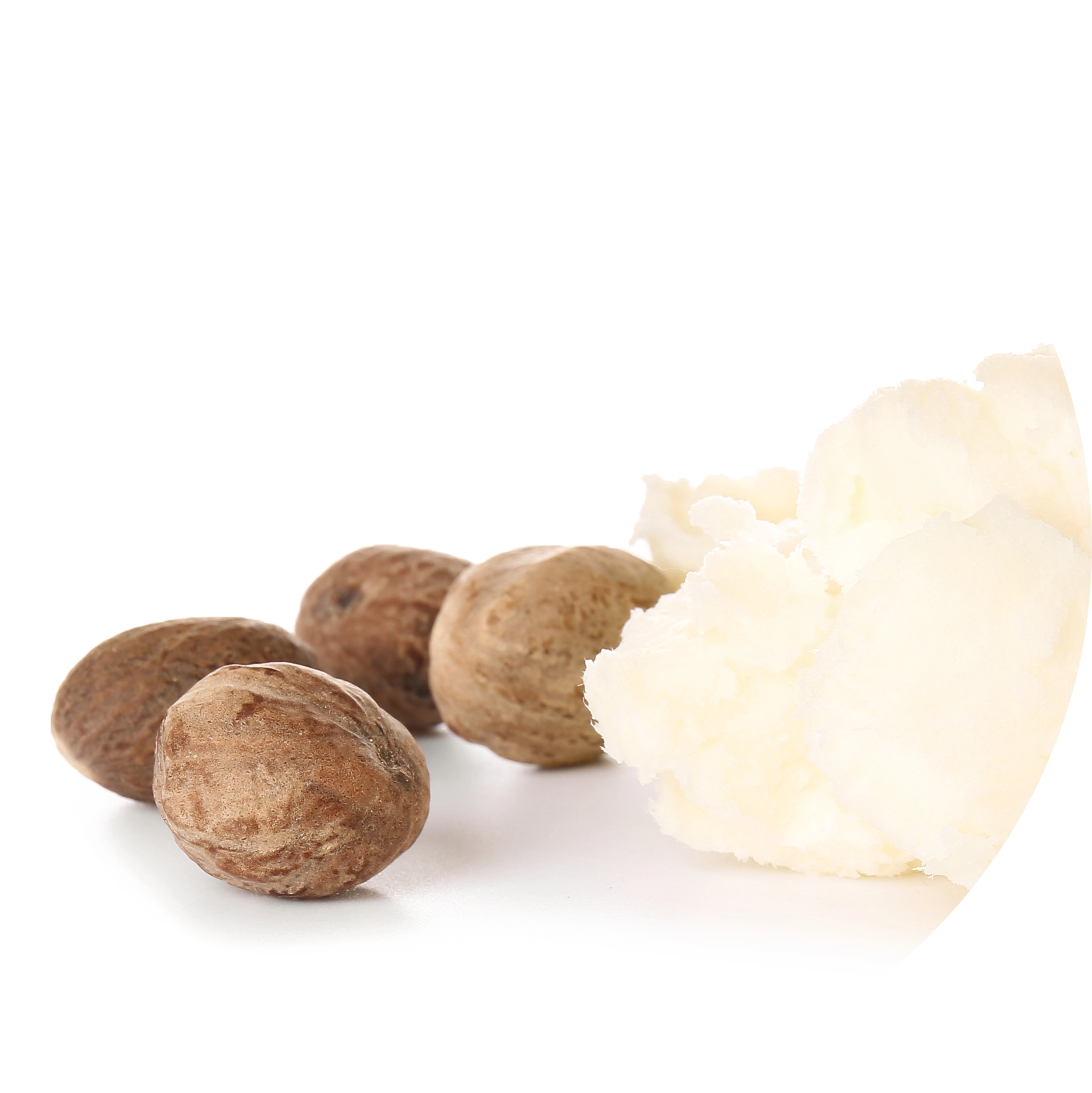 Shea Butter in AGC Skincare