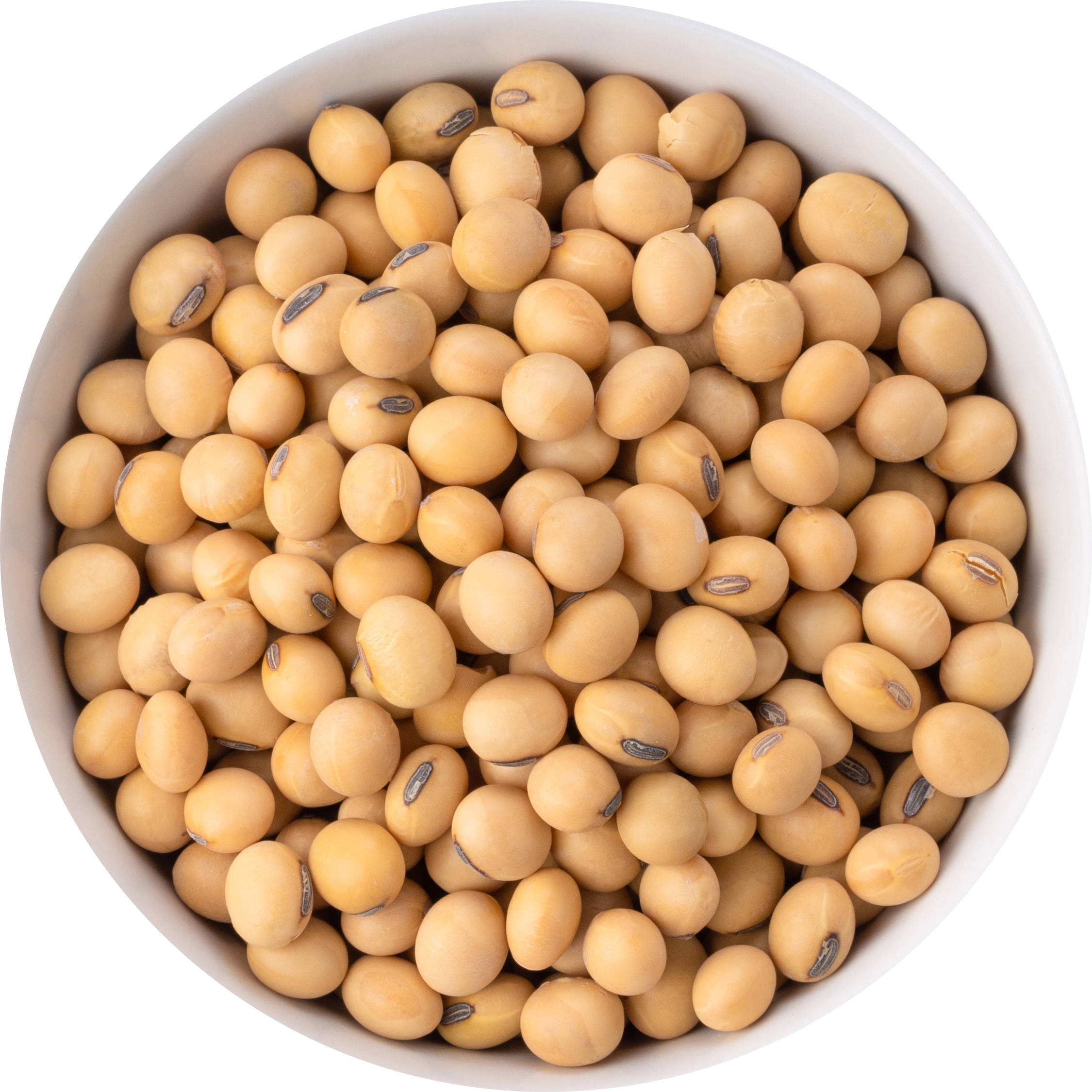 Soybean Extract in AGC Skincare