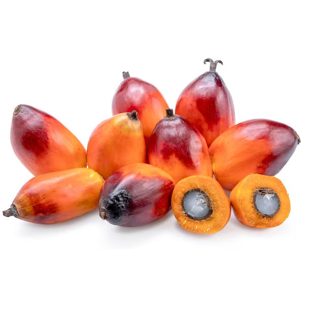 Palm Oil Seeds in AGC Skincare Products